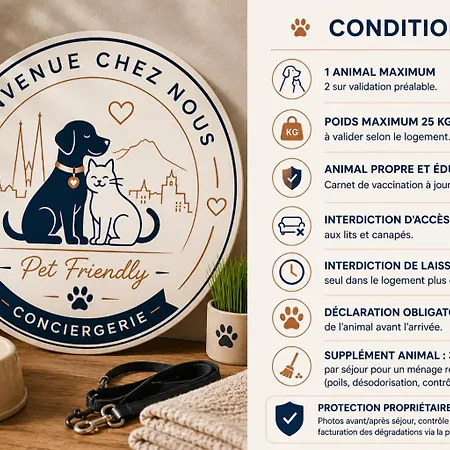 Charme & Cachet T3 Atypique, Centre Historique